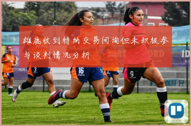 雄鹿收到特纳交易问询但未积极参与谈判情况分析